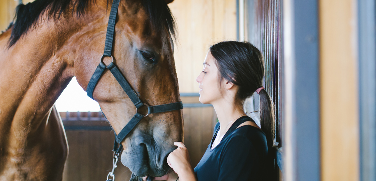 Living longer and better: a senior horse’s health needs and risks