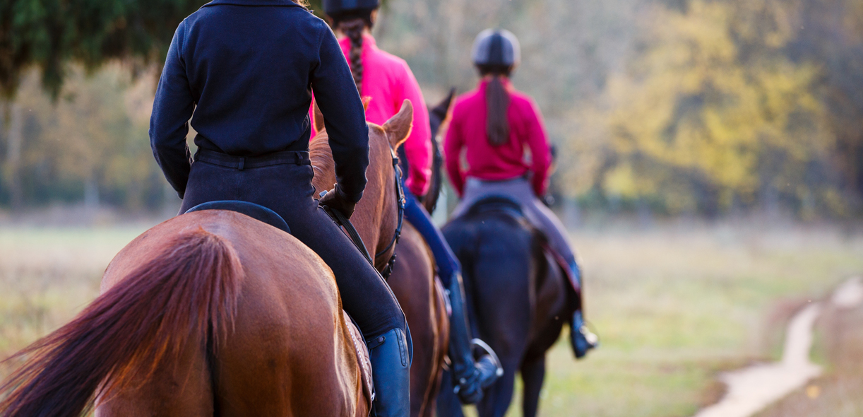 Horse trail etiquette and safety best practices